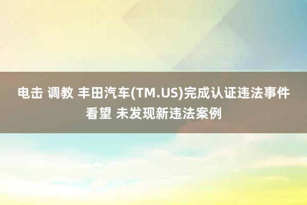 电击 调教 丰田汽车(TM.US)完成认证违法事件看望 未发现新违法案例