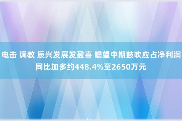 电击 调教 辰兴发展发盈喜 瞻望中期鼓吹应占净利润同比加多约448.4%至2650万元