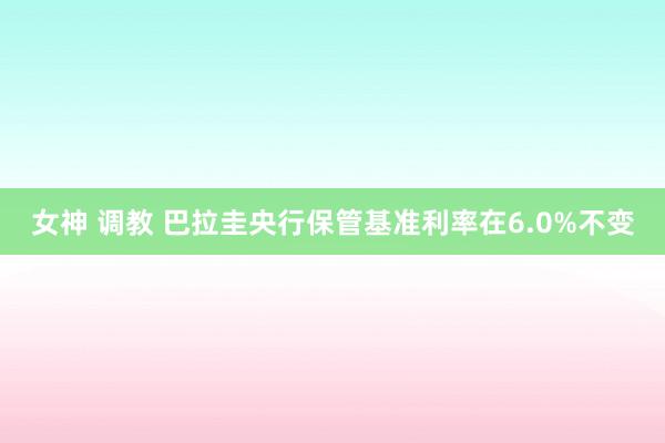 女神 调教 巴拉圭央行保管基准利率在6.0%不变