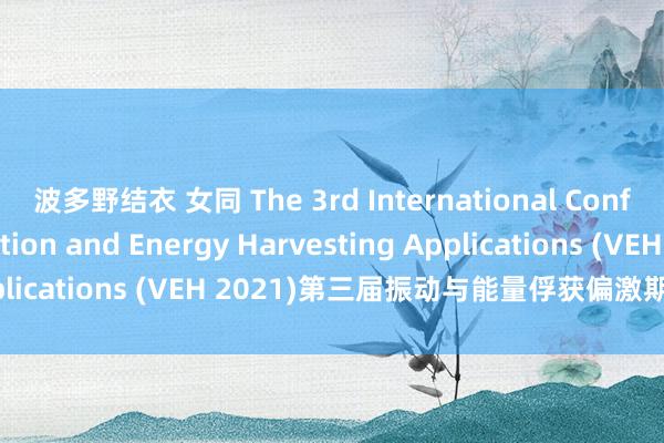 波多野结衣 女同 The 3rd International Conference on Vibration and Energy Harvesting Applications (VEH 2021)第三届振动与能量俘获偏激期骗海外会议